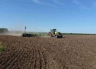 В Краснодарском крае озимыми засеют 1,8 млн га В Краснодарском крае озимыми засеют 1,8 млн га